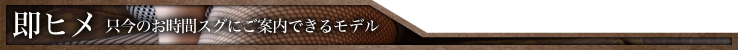 即ヒメ 只今のお時間でスグにご案内可能なモデル