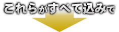 これらがすべて込みで